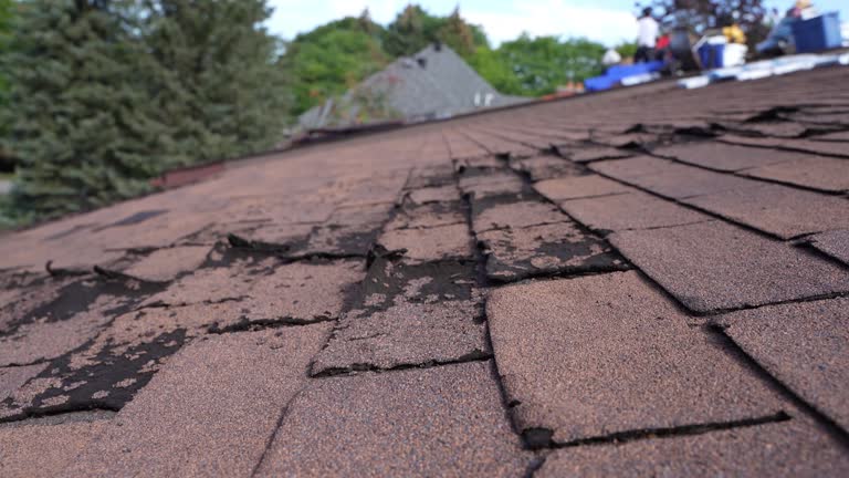 Best Emergency Roof Repair Services  in Vonore, TN