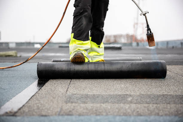 Best Skylight Installation and Repair  in Vonore, TN
